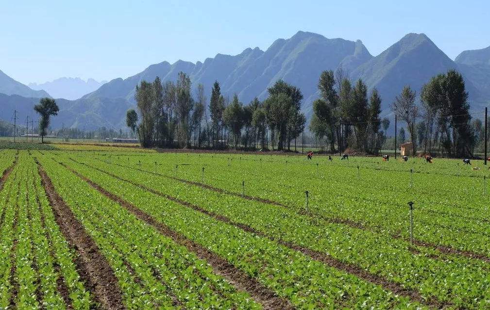 土壤污染狀況調查、風險評估及管控修復